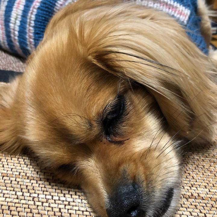 D2561340 bbeb 4d5c ba13 7bd559d75bce 1550440987188