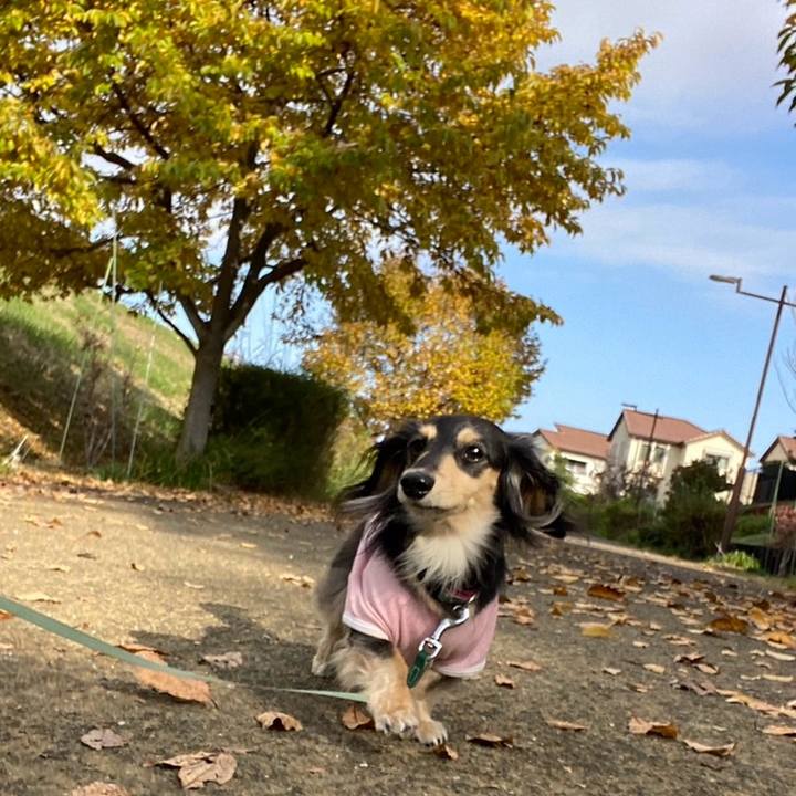 D2561f59 c384 42b5 a378 4b49fda052f1 1763168968078