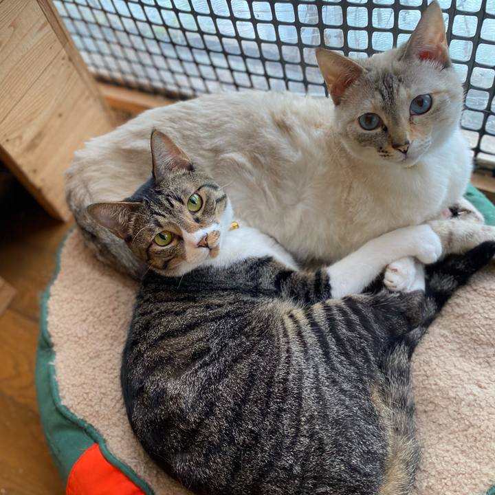 D256246d 1520 419b 965d 502477cf90e5 1685061484691