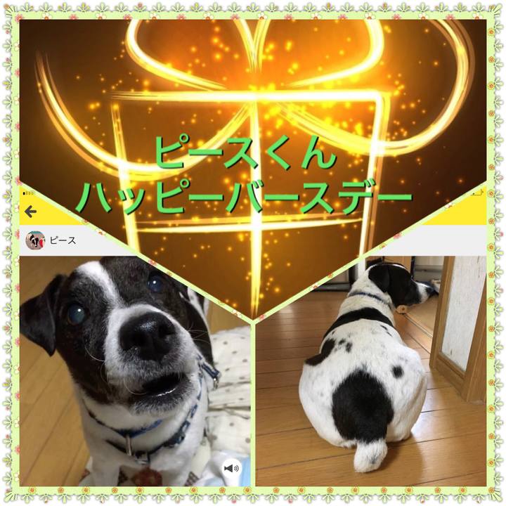 D2563a7c 73b9 4152 b316 0e2ece7c2efc 1510050667159