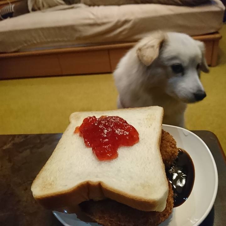 D2565340 109a 40e1 b82f 4e70d9de36da 1548536912985