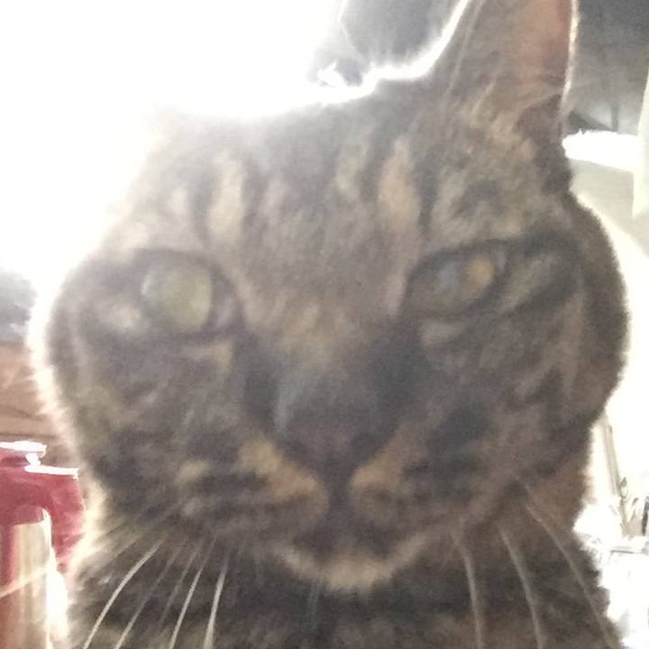 D2565a73 ab1d 41fa 8546 ea0f154c76e2 1597018641441