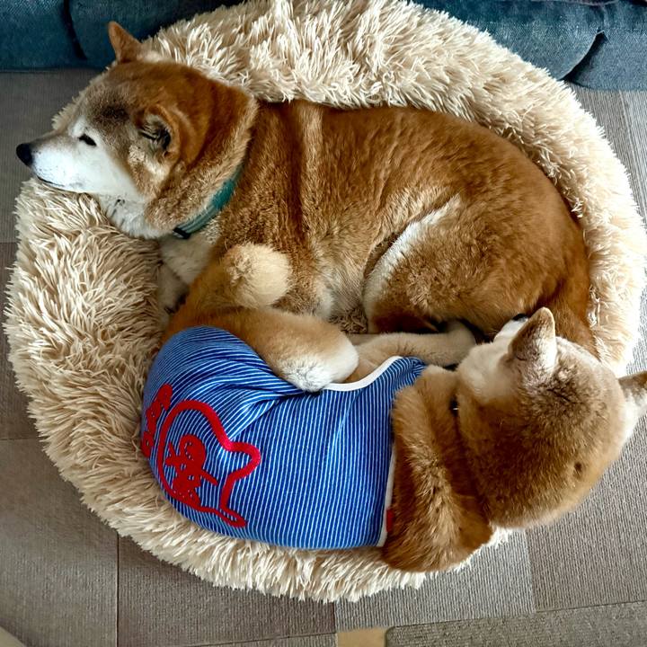 D256636d b4ea 4394 9ad2 c5a10f41b45d 1772117379186