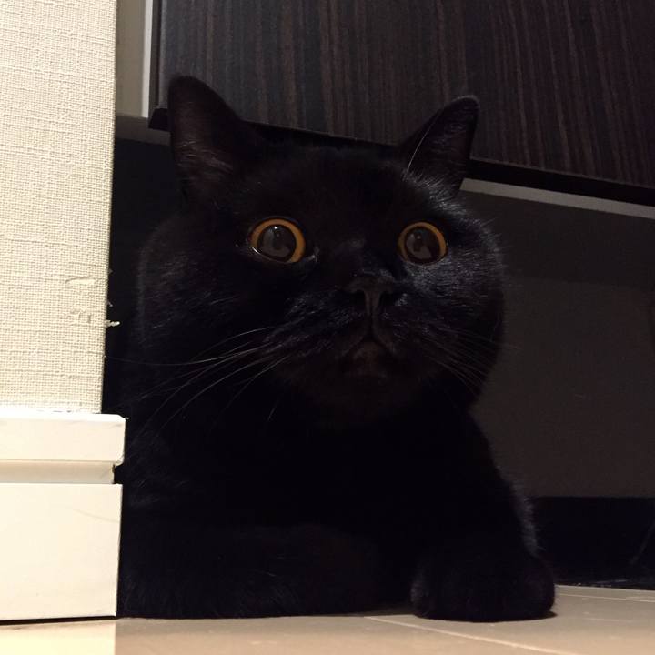 D2566448 bbbc 492f 88e0 5ba4e6b6e54f 1594472732632