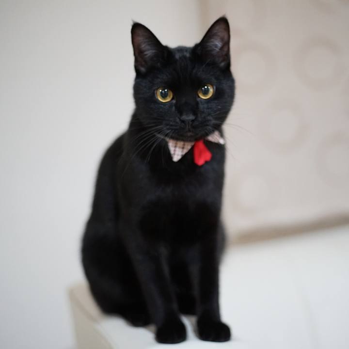 D256d2f0 7c25 4615 98ec 24f4bd8051a9 1521158518463