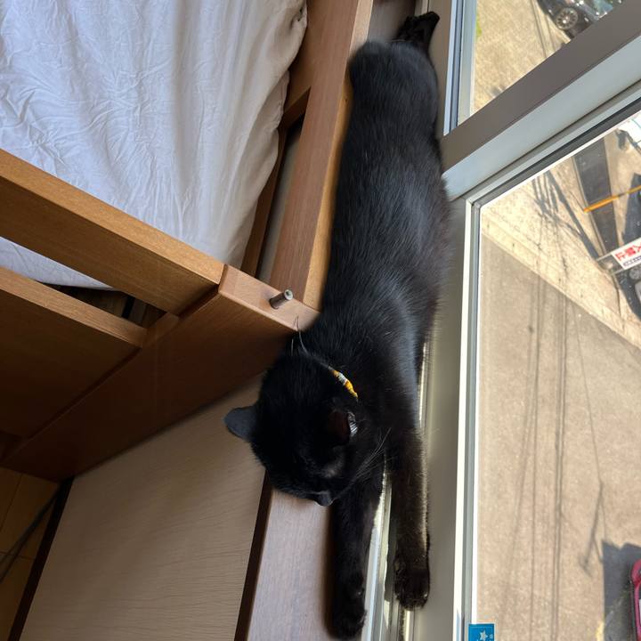 D256dcdd 219d 464c 87fa b344b2d85b3b 1683211307444