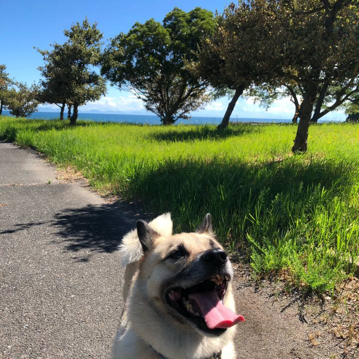 D256e34a 4a2e 435d a3b0 db04b7baaf28 1628334423047