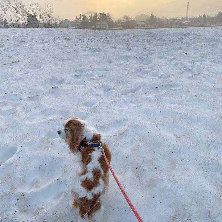 D257020d f081 4388 8b19 9d6a8f33b356 1617142751771