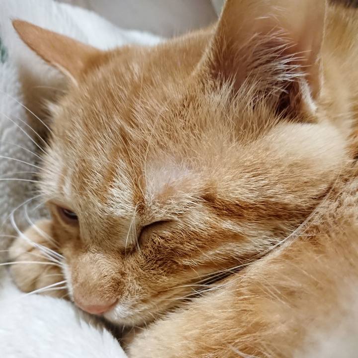 D2573d40 2b9b 4d17 9524 a1956e4a736a 1638968375142