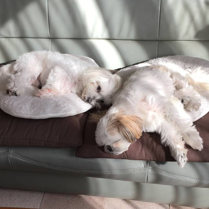 D2573ed0 19d7 4c33 aeea 20a4669f542f 1541220824484