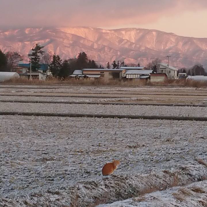 D257634b 1778 4d35 8050 a5a8fe9be238 1577226711610