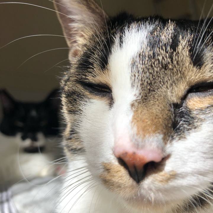 D2577798 958d 4406 9361 fe24eebf0c2a 1538795433084