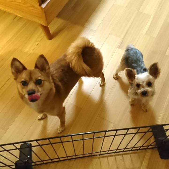 D2577aa6 b2b3 49e9 aced 43416f6229fd 1537013283343