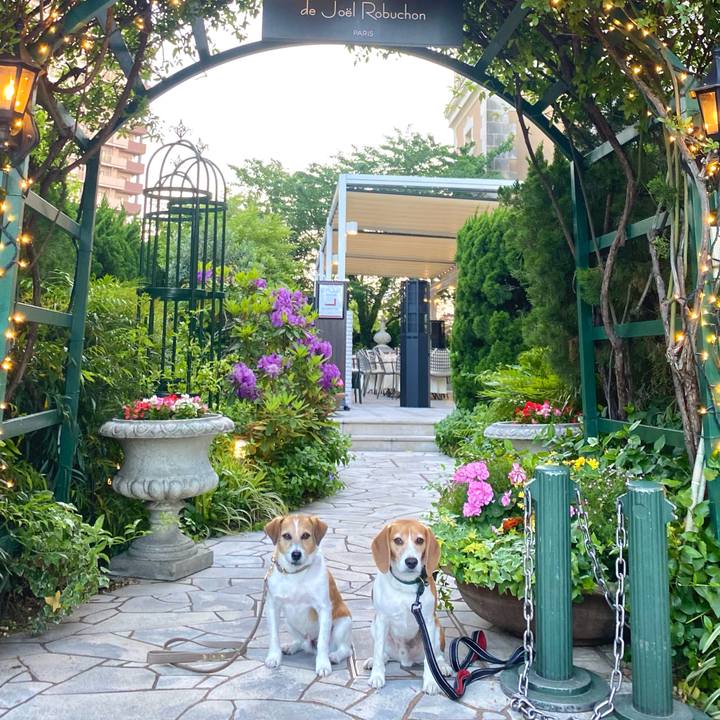 D257869c 81ee 472b 8f48 4bdbf4da8f35 1683546041523