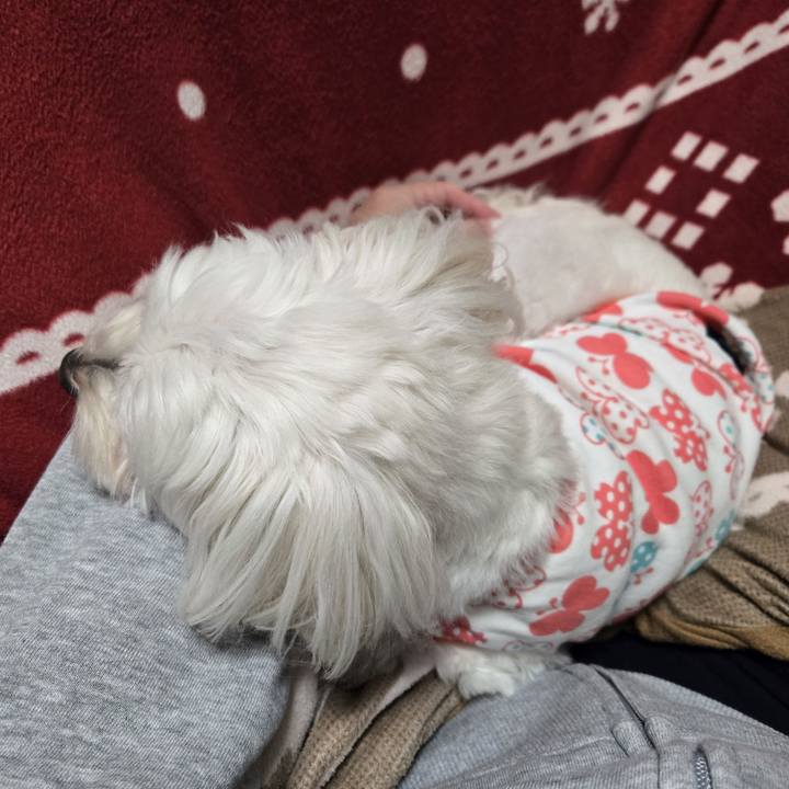 D25791b3 3b91 4704 aadb 1918ca8382a1 1762643664766