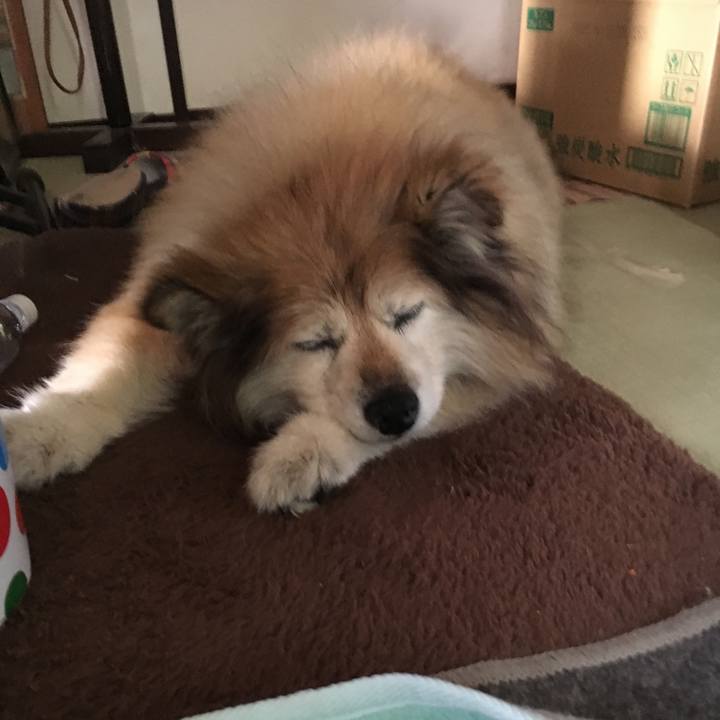 D257a60b 0778 4a81 ad85 3e101f9d910e 1583664100648