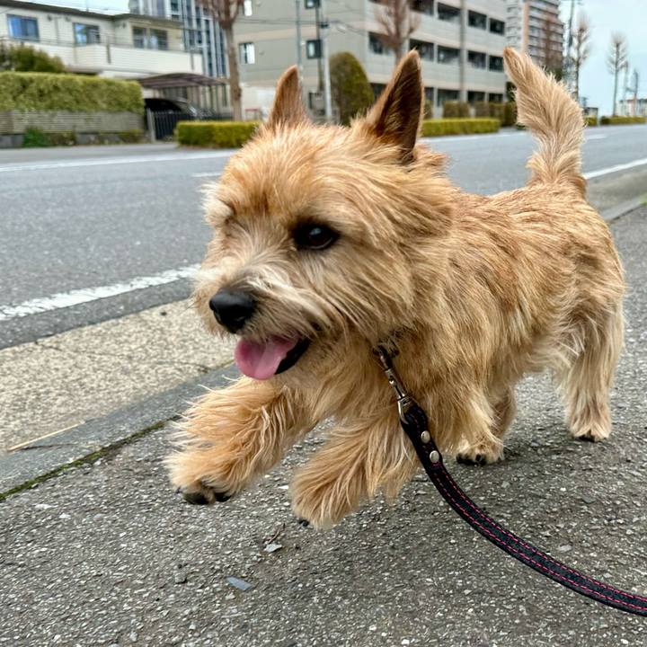 D257c4d4 3e75 472c 9422 fadf0fdbde86 1741877210105