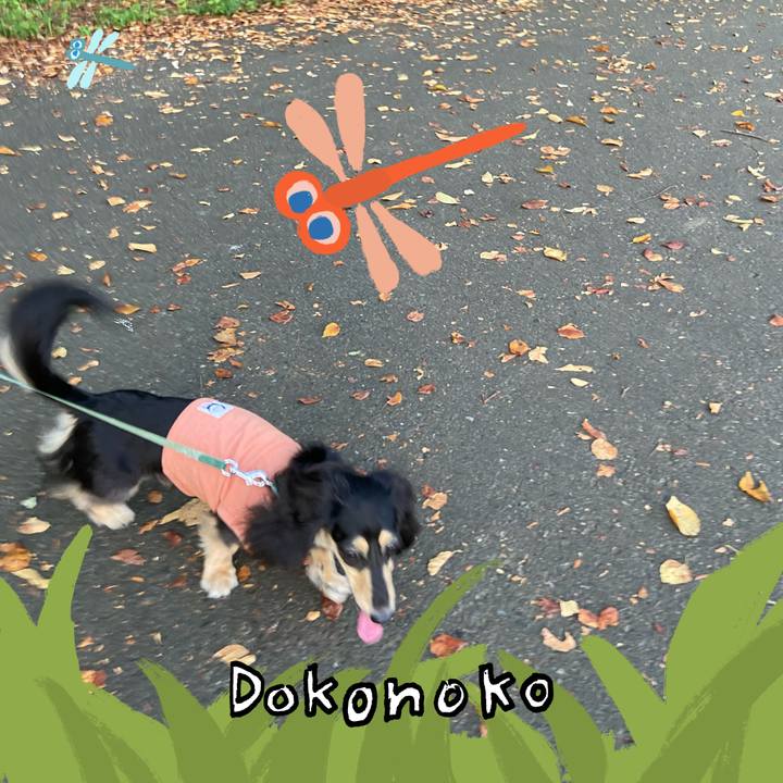 D257cd6d eceb 426d 8861 14c652bd2f3f 1727125489573