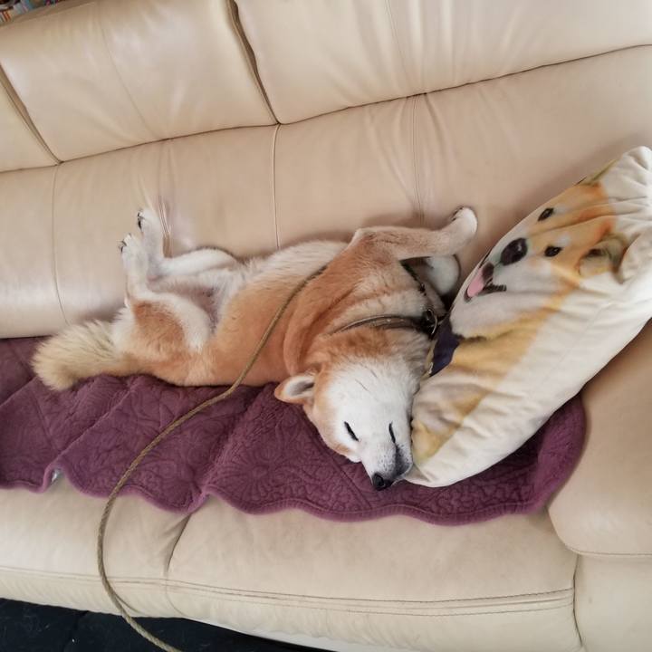 D257e63c 88ab 4cb2 97e4 d6f11172837b 1695768290578