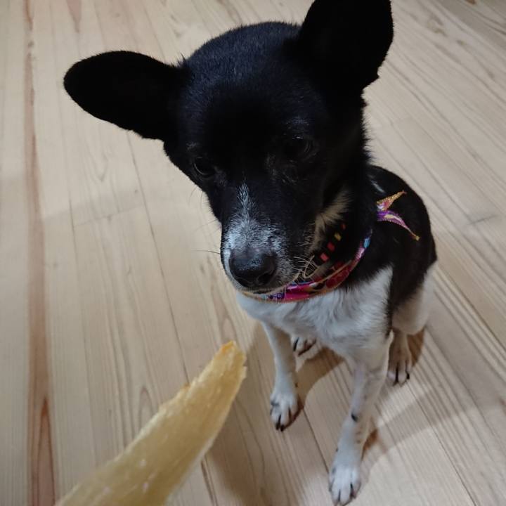 D257ec66 04f2 436c b327 a183bebe6718 1578221772256