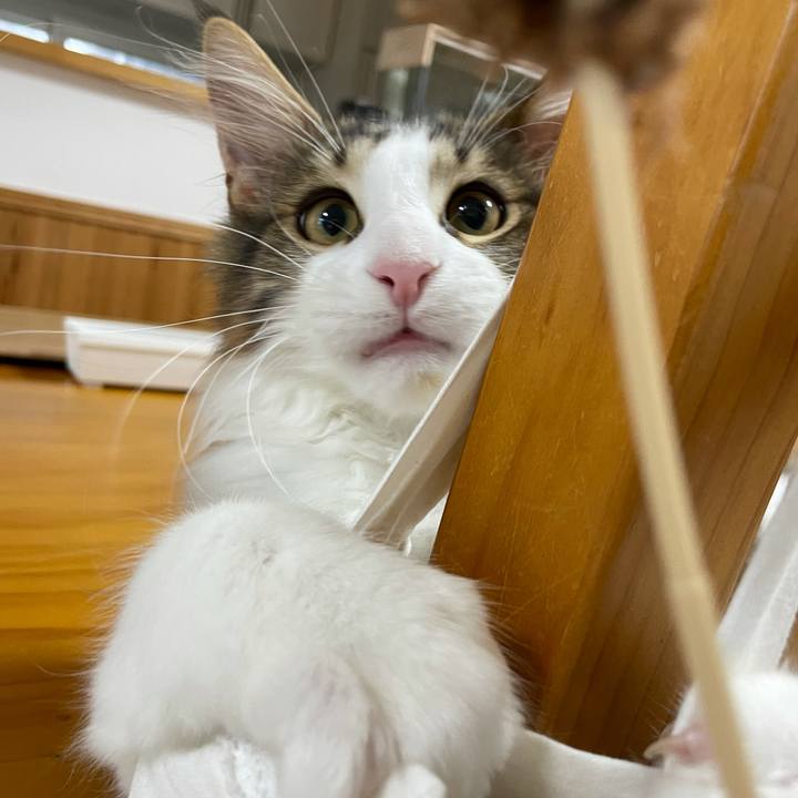 D2584bcd 750c 4158 bb6e 755843485375 1635505502057