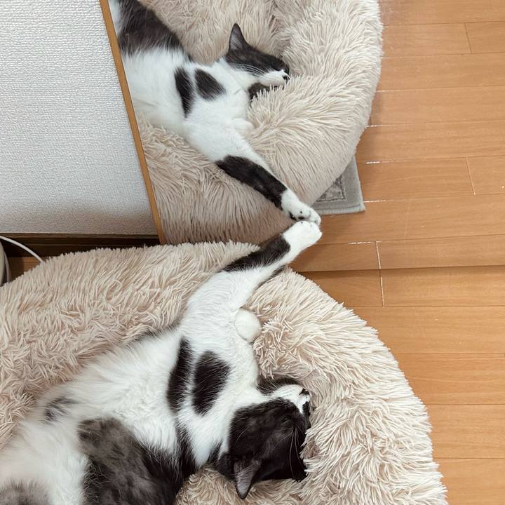 D2584f69 dcb3 4c44 9526 efd792ba5a36 1761117071880