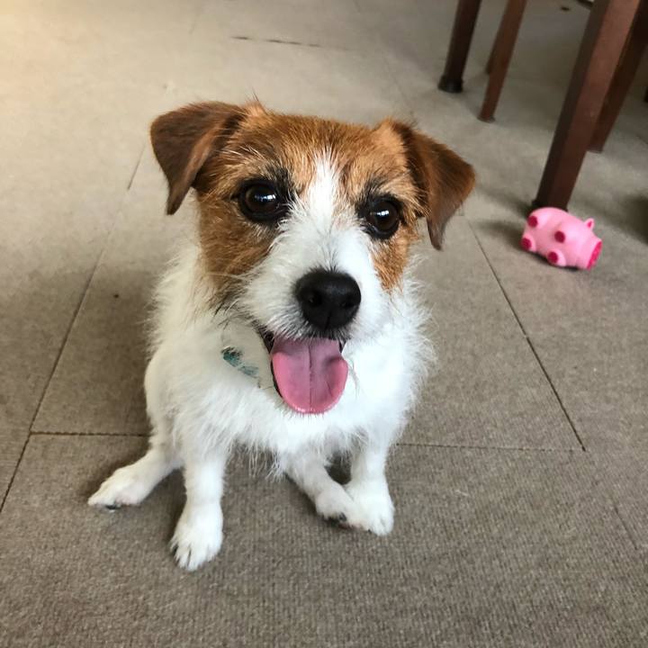 D2589196 3567 4726 bfd4 103372836762 1528401966137