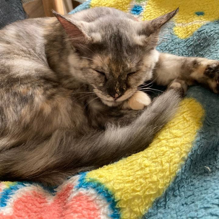 D258b7ea e4b6 47f4 9861 d9729672e12d 1698554528419