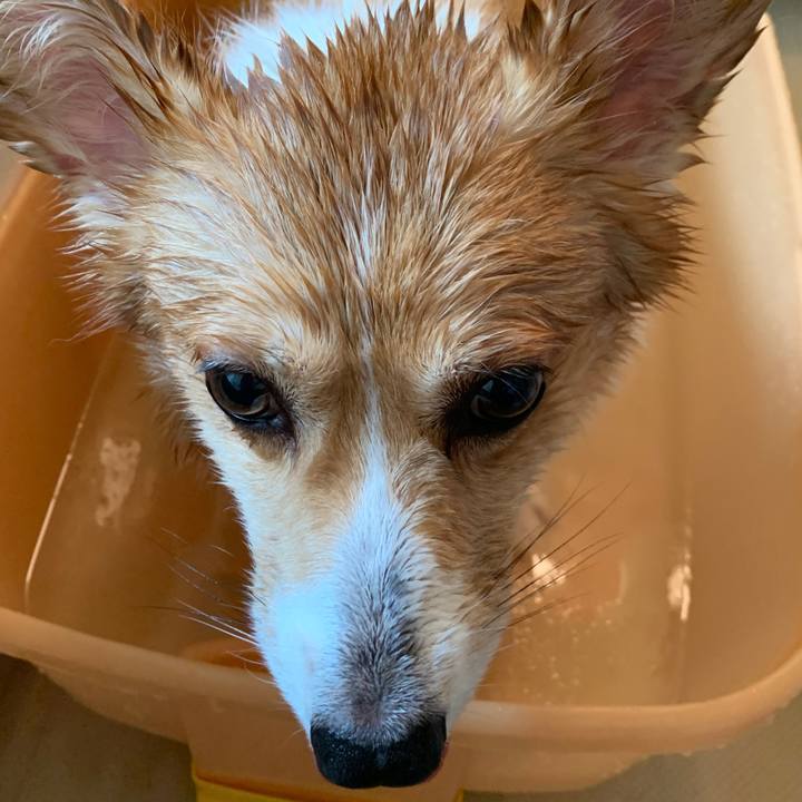 D258e785 8f58 40f3 a3de 27c35481054f 1598146986888