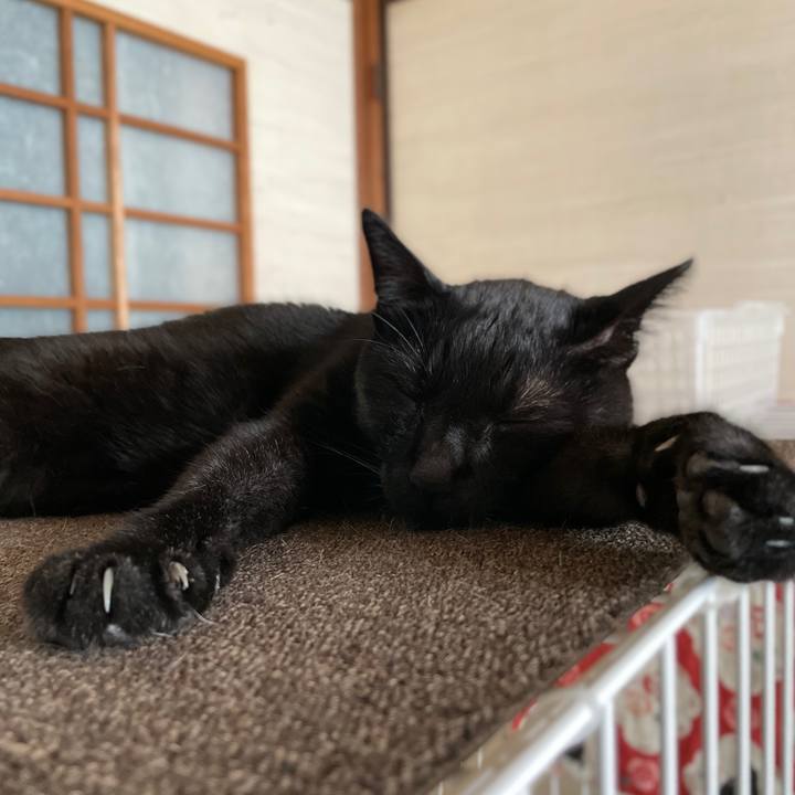 D2592ebb aa6b 4b65 a0ba 438294ad013e 1663471460604