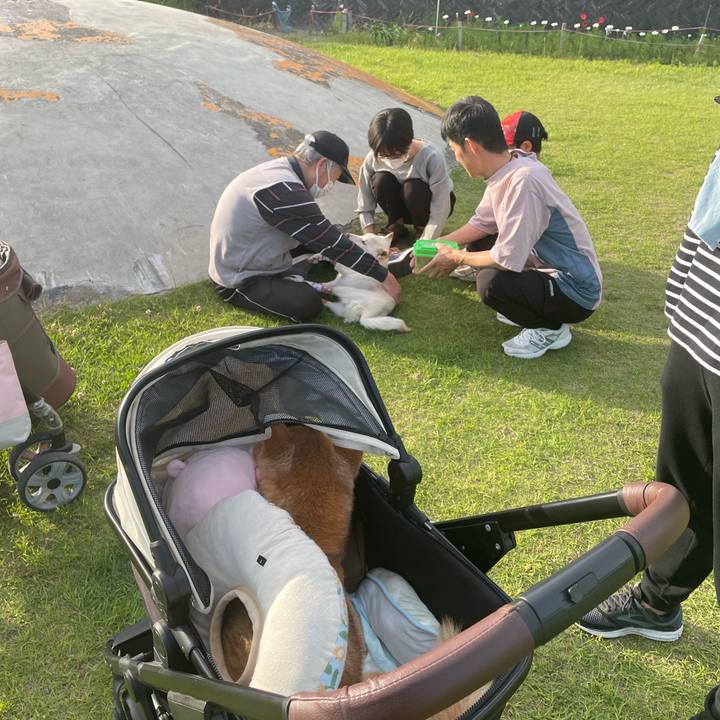 D259402b 1510 4317 9f68 0f153660bcbb 1685068464986