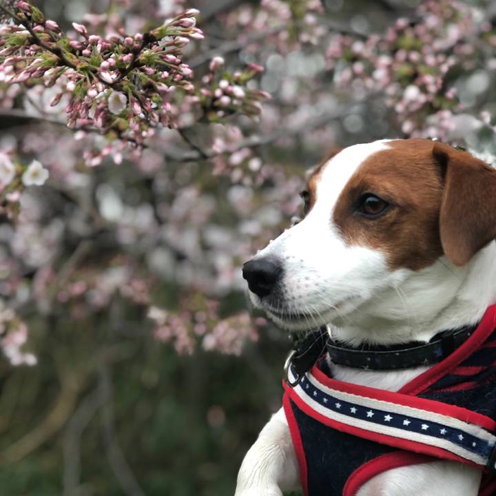 D2596273 35e7 4931 b4d2 c5e63a51315d 1553909624574