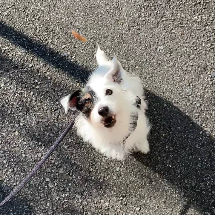 D259b4e1 31fd 49ff ba51 ea484f0e9902 1730676832935