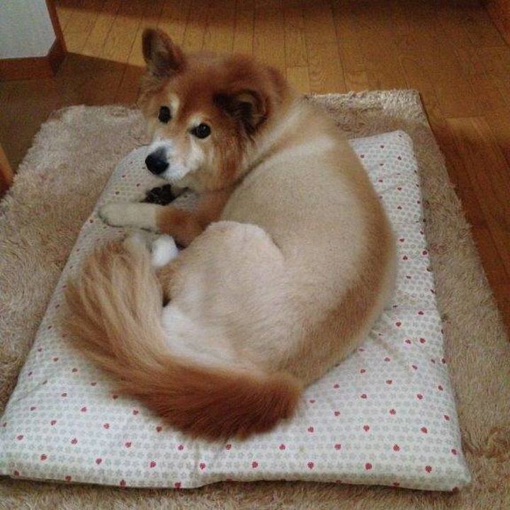 D259ed1f fdcd 482c 9e89 8bcabd4345f5 1516188694700