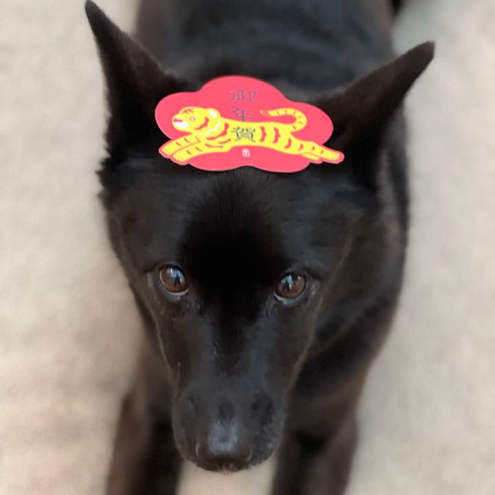 D25a3c56 43c9 4f4c 831a 9575c0743026 1641181982708