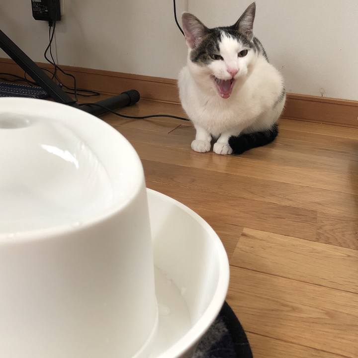 D25a6681 29de 4aae 82cb ad02e1e93924 1595835985909