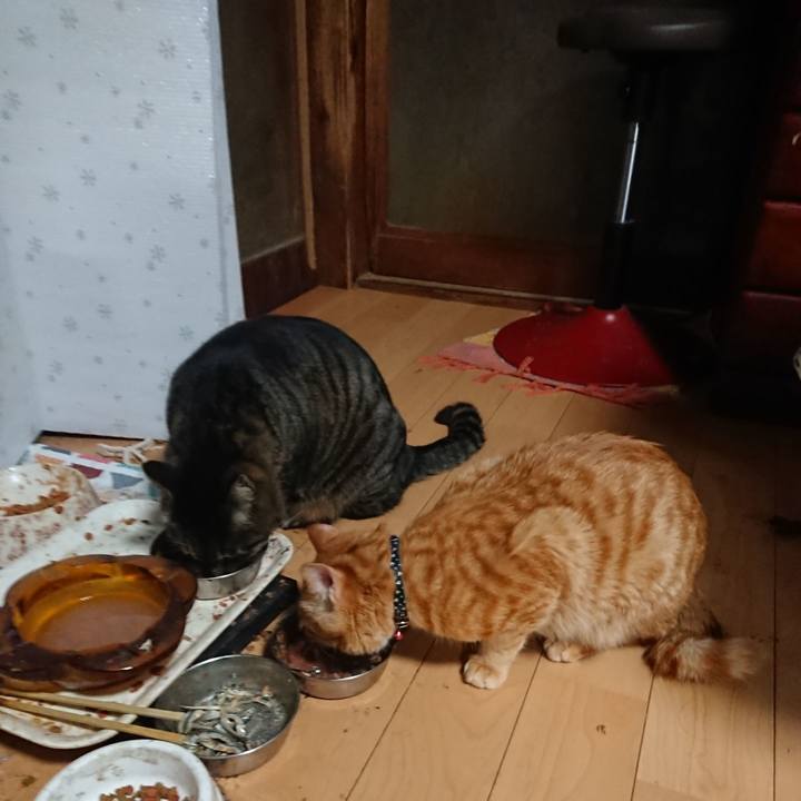 D25a7593 b792 4fc8 9403 aca0d88ca2f9 1644183434879