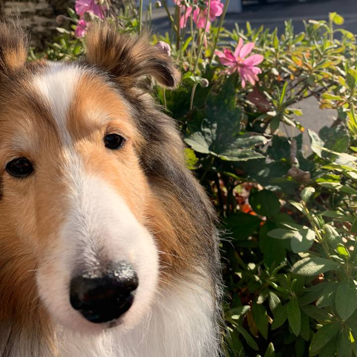 D25a9233 c2a0 4086 be44 b58c5a40c547 1573281733227