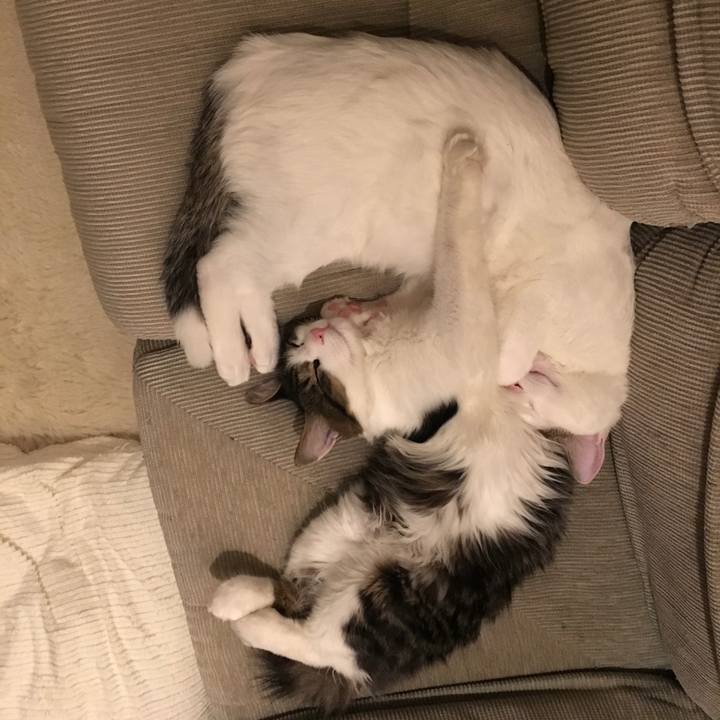 D25aad71 65c7 47fe ac7a 2fa69c8d9e80 1668644188146