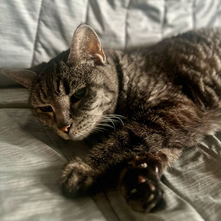 D25b1e00 76f5 47a2 bf38 4a81cf54d482 1758806135509