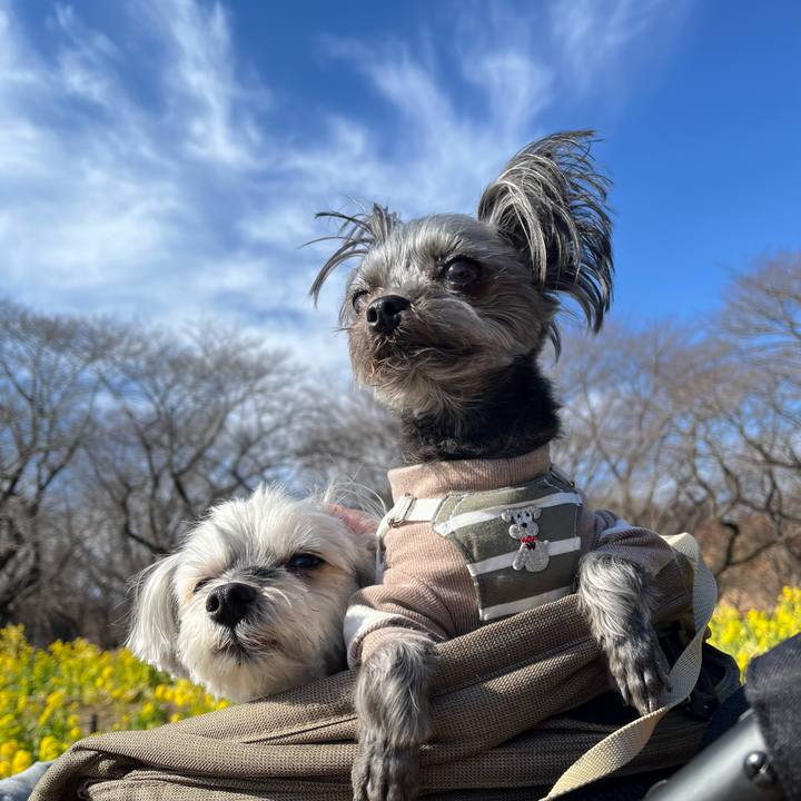 D25b3390 35b7 474c 8406 8ab2e18bdc81 1771666506051