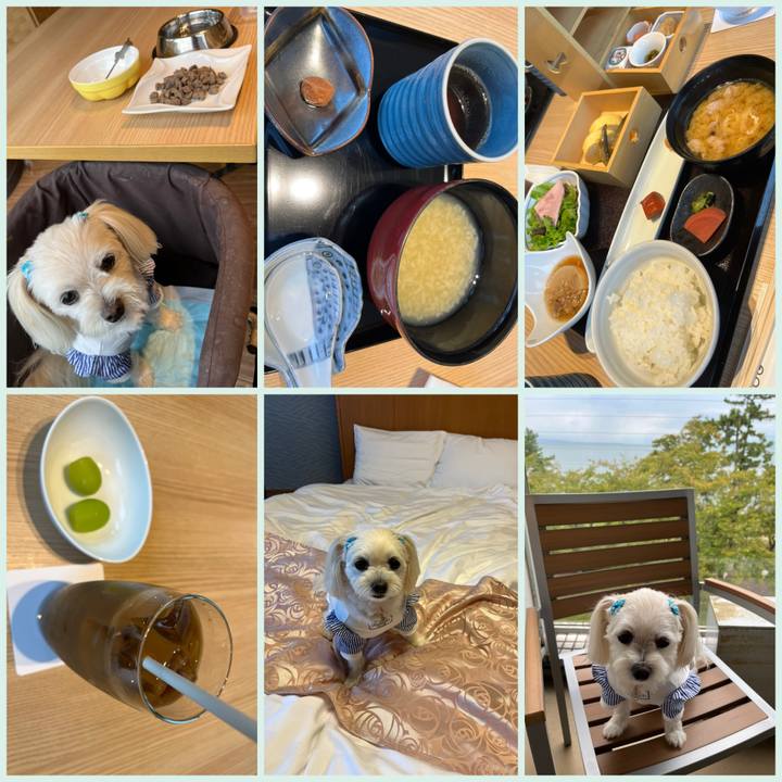 D25b54fa 750a 4061 97c6 7ad8ef2cc899 1696474298364