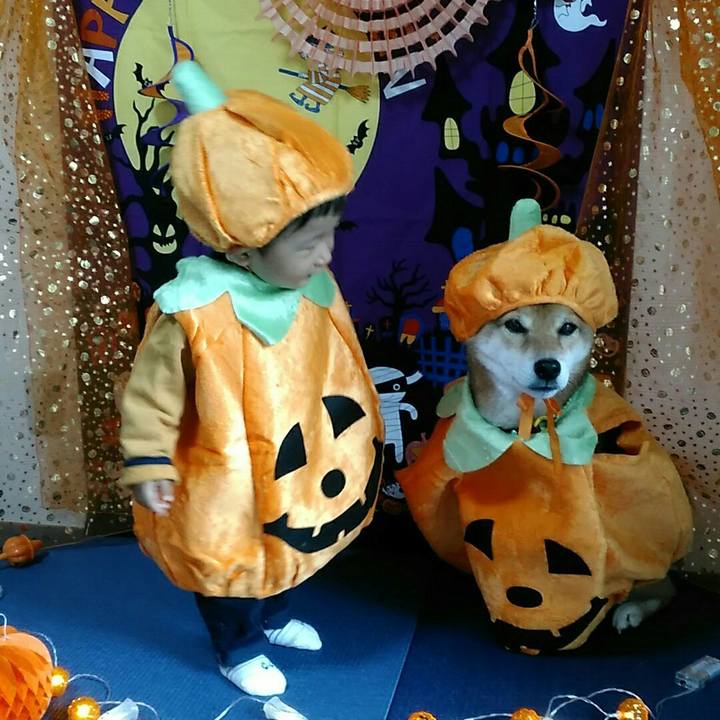 D25b6f10 7824 4849 95c4 9c4181674ce7 1571650984517