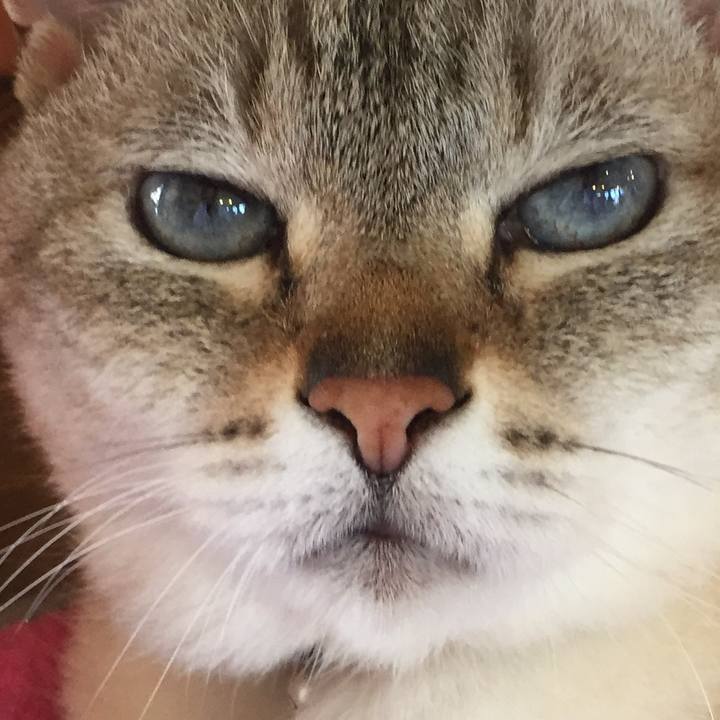 D25b732b 6f50 489a a3d2 521c89b2592e 1529128105871