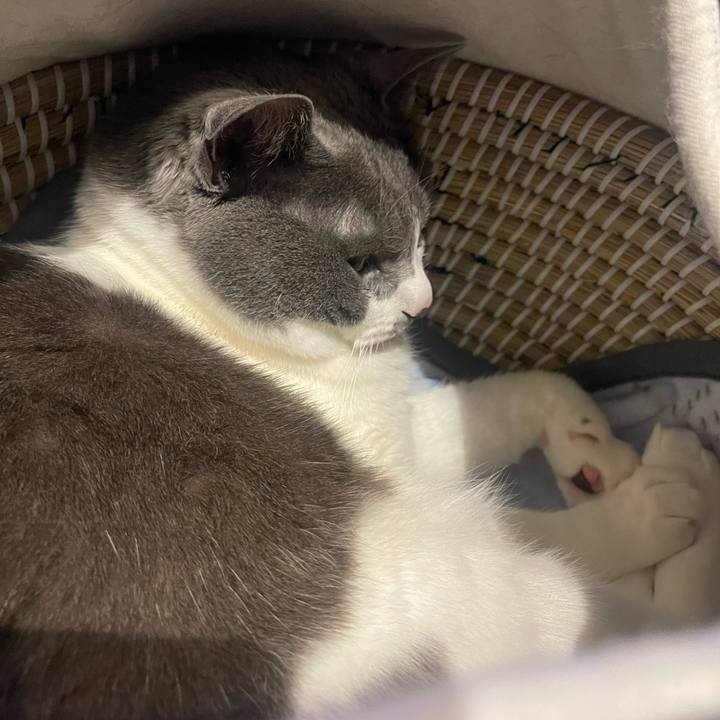 D25ba917 600a 4ea9 87f7 4554ed2761f4 1684234374313