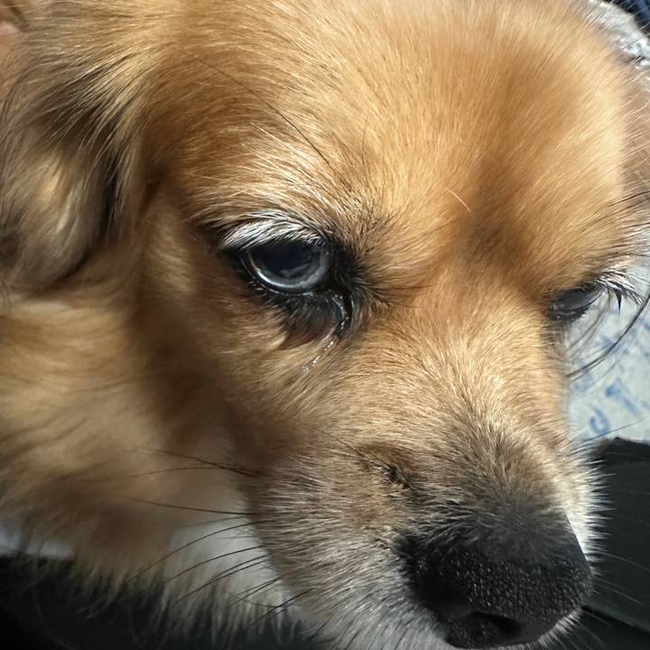 D25bc723 32f9 4d97 8413 cbc7a4d9654e 1695848443238