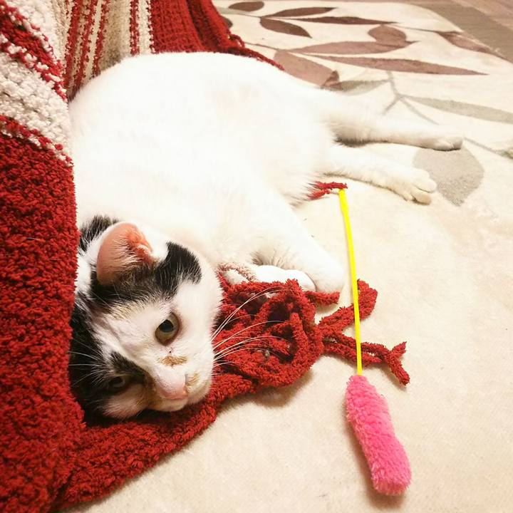 D25bcd63 918e 49e2 9b8f f935739ba5ed 1542021545922