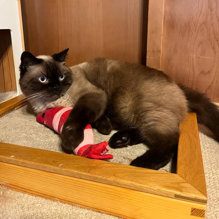 D25be094 238f 486c b661 d5f12eb54b84 1692775974607