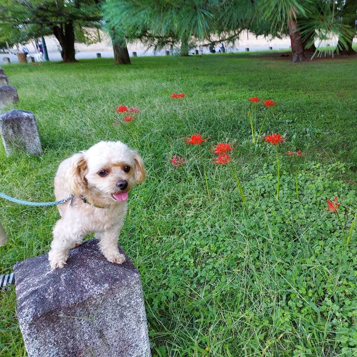 D25c11c4 ff3c 407b b0f7 898fb839208c 1632124519692