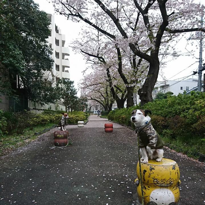 D25c35f7 0cb3 48a1 99e8 1169e537124b 1585693331509